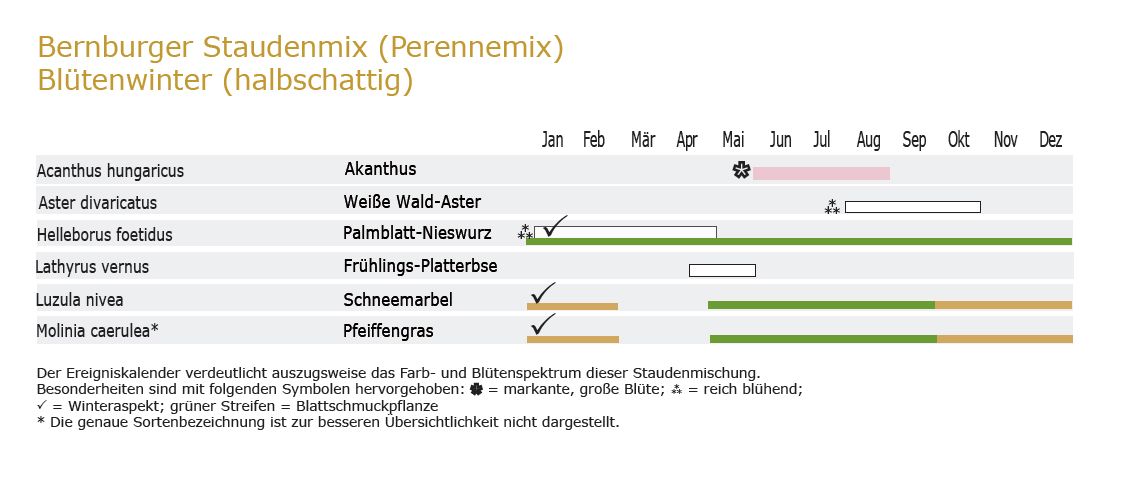 Bl Tenwinter Halbschattig Staudenmischpflanzung Als Fertigmischung