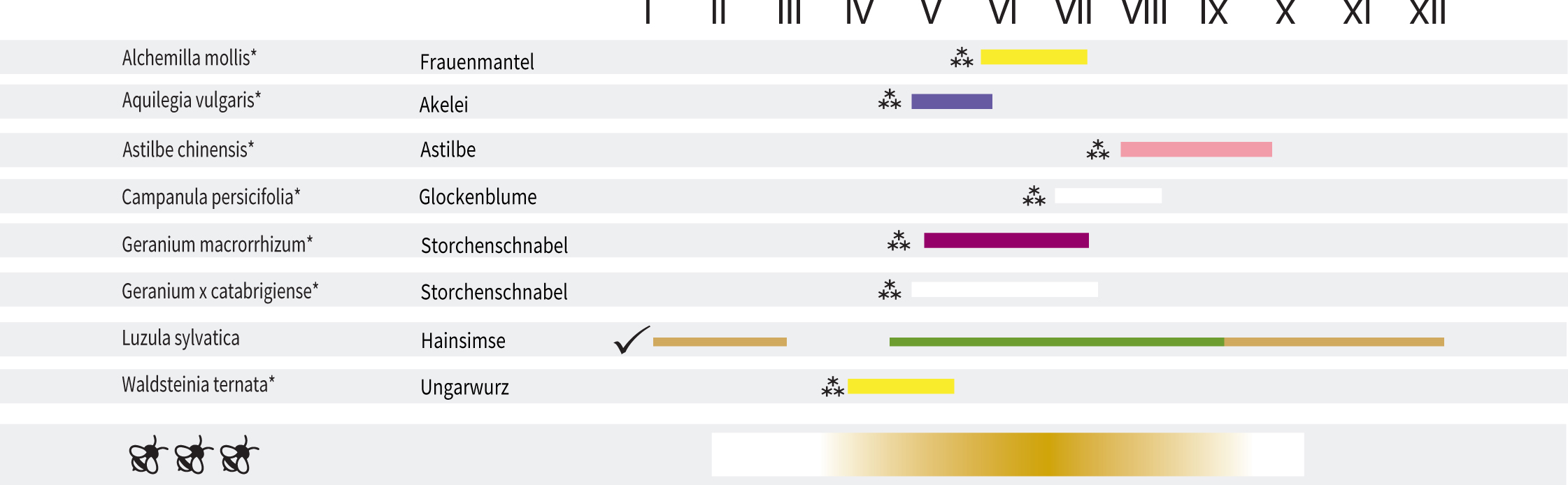 STM914 - Blühkalender