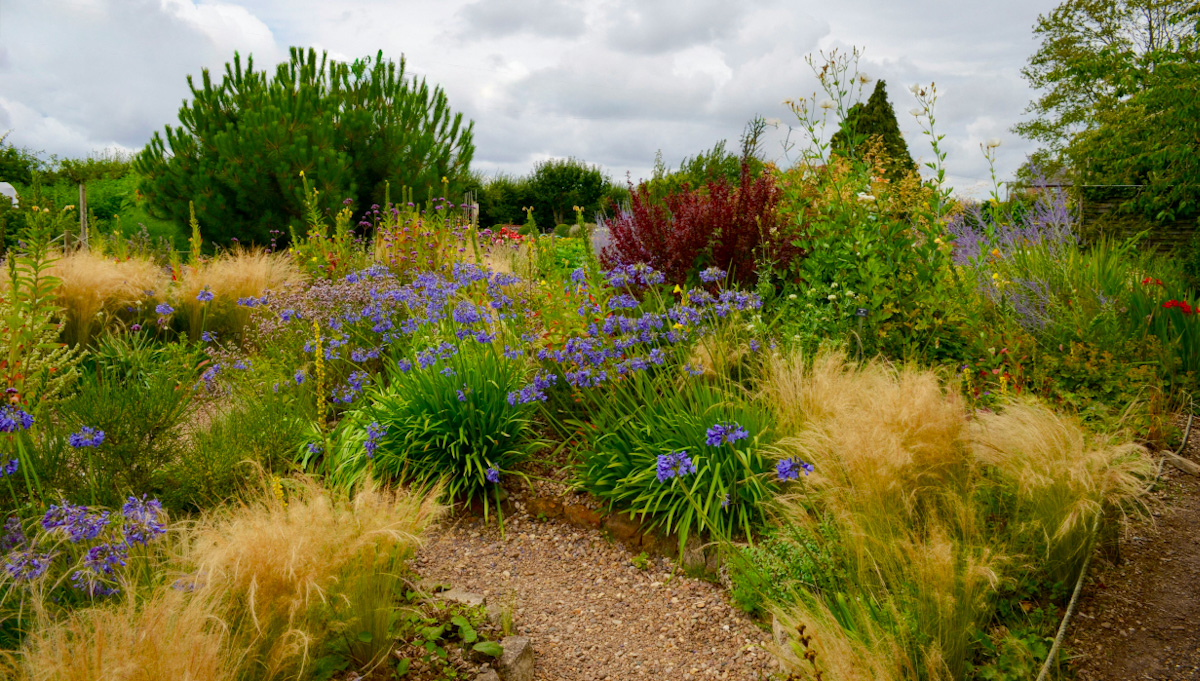Naturnaher Garten