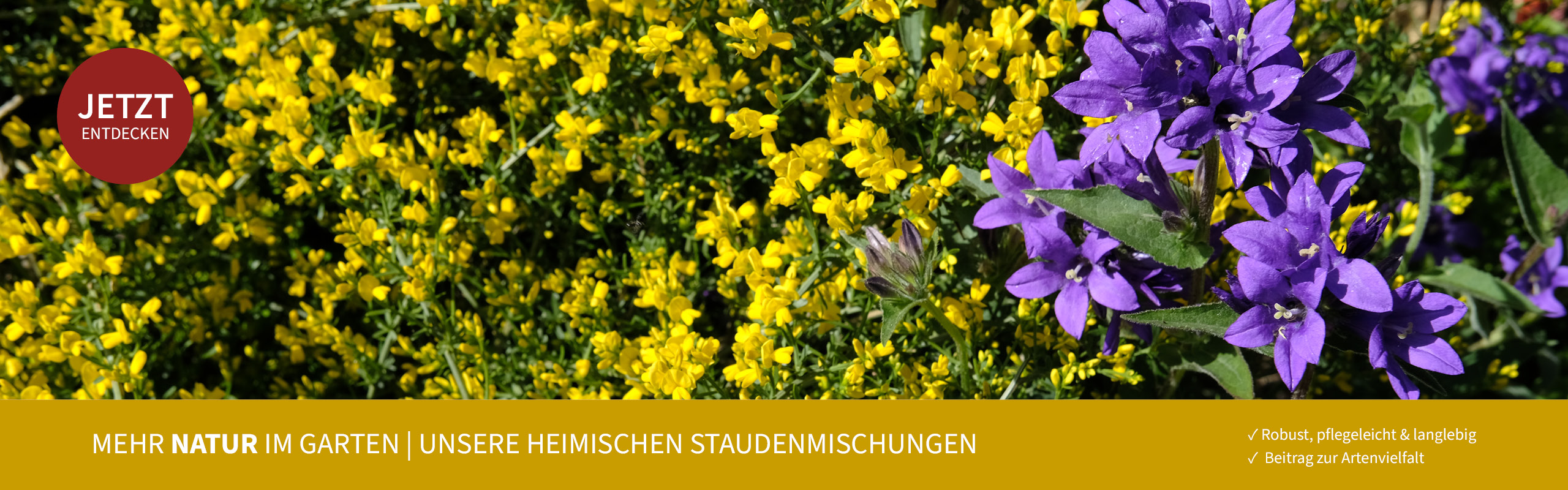 Mehr Natur im Garten | Unsere heimischen Staudenmischungen