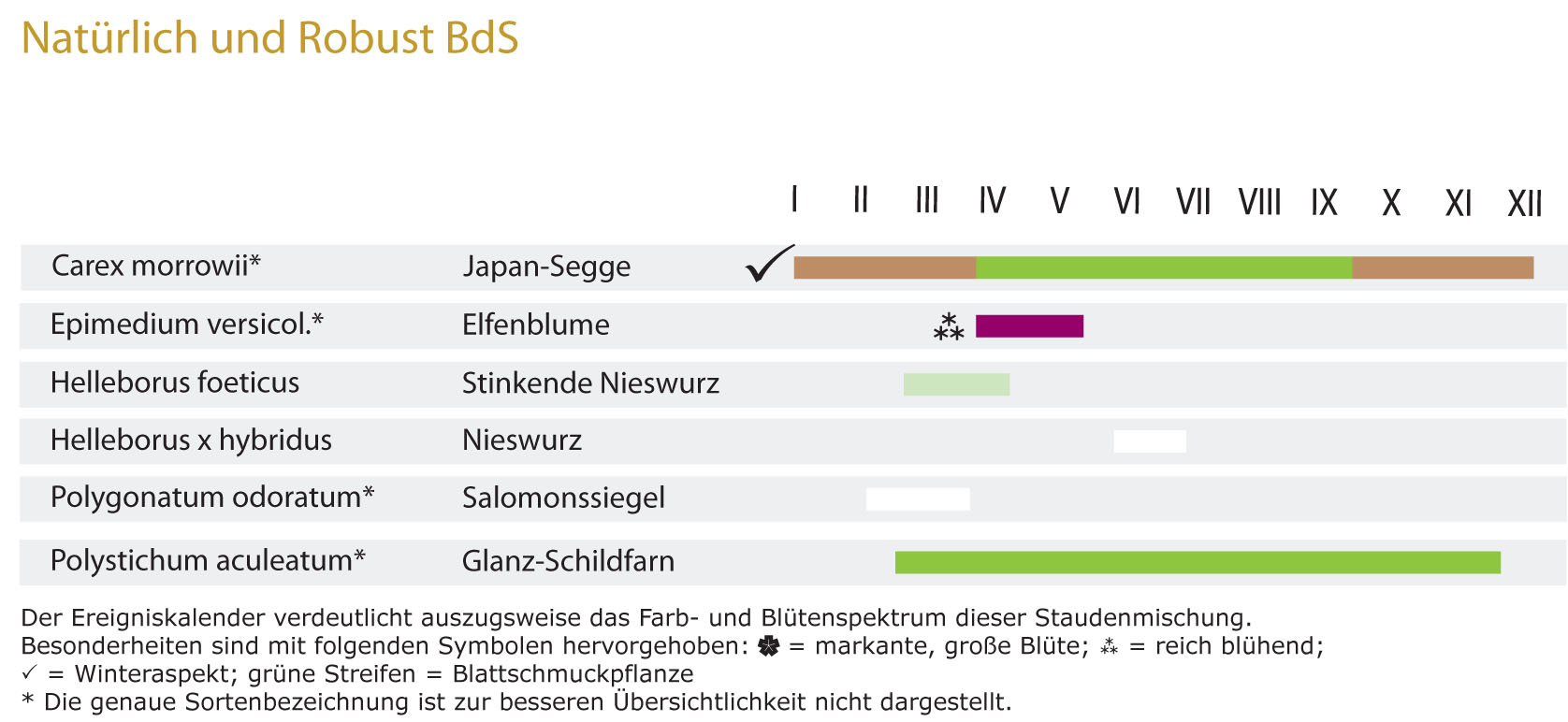 Natürlich und robust - Modul 4 - Staudenmischpflanzung als Fertigmischung vorgemischt