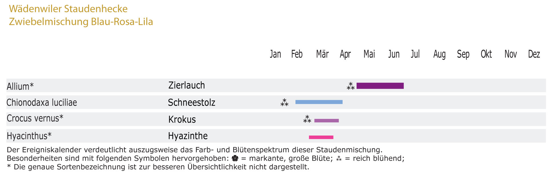 Blau-Rosa-Lila - Wädenswiler Zwiebelmischung