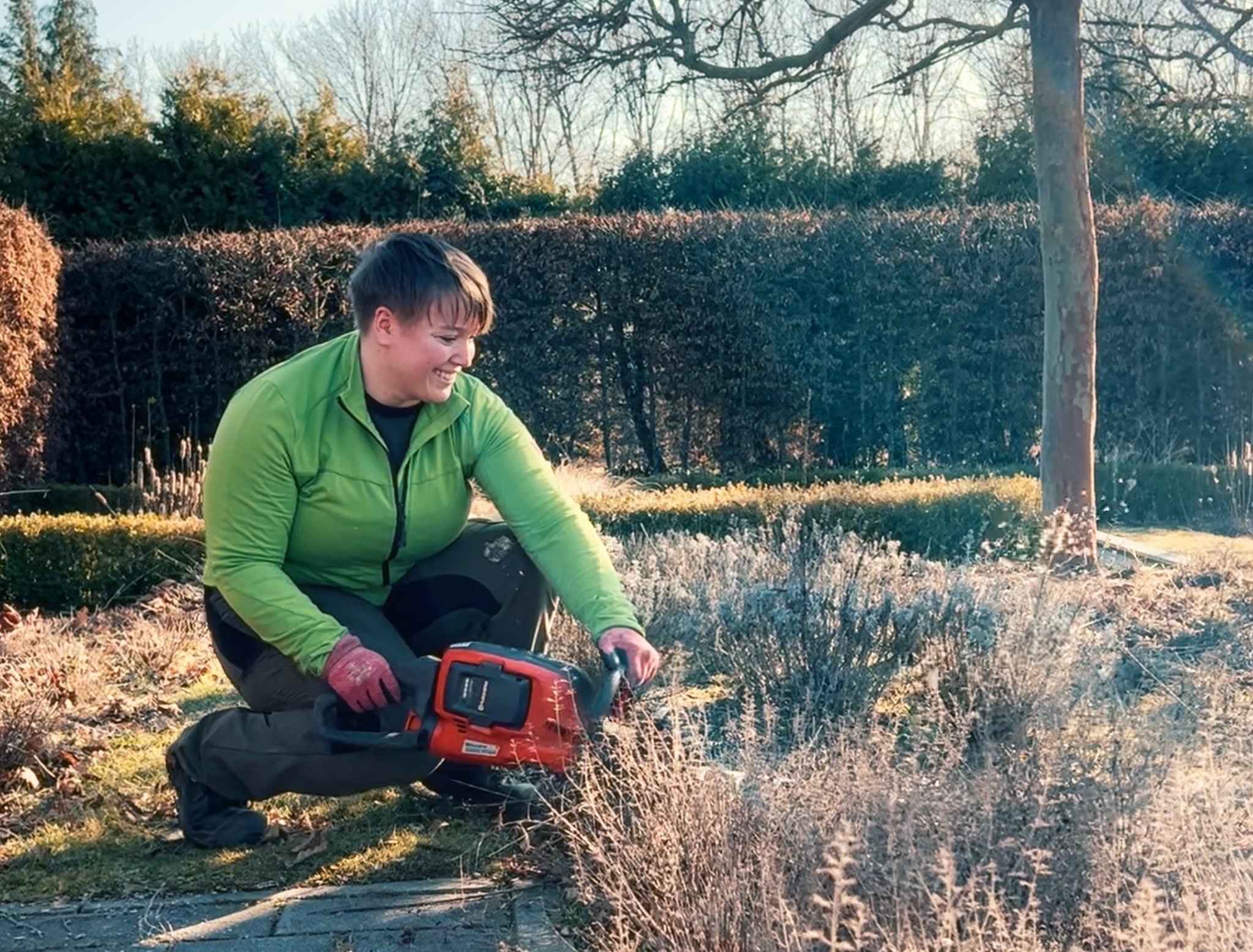Frau schneidet trockene Stängel von Stauden und Gräsern im Frühjahr mit elektrischer Heckenschere zurück