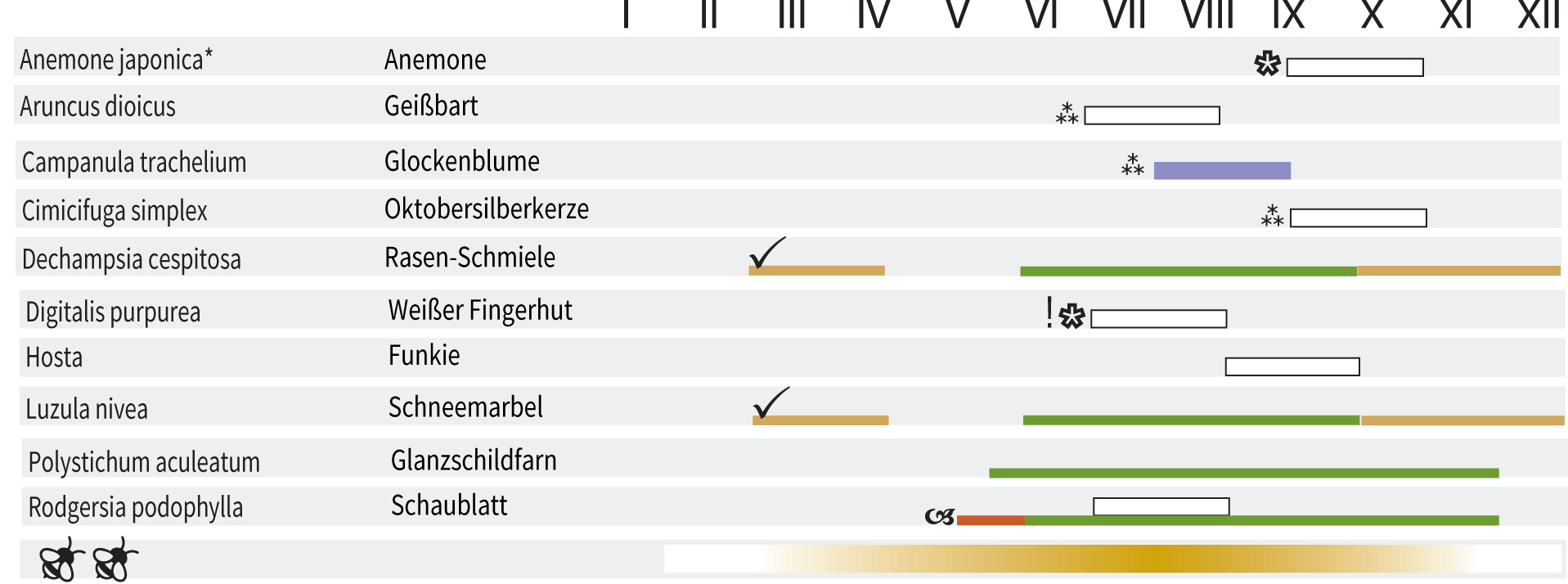 SCHATTENFREUDE - Staudenmischpflanzung als Fertigmischung vorgemischt