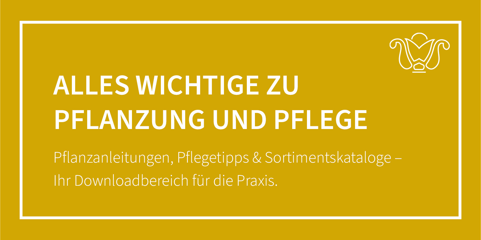 Alles Wichtige zu Pflanzung und Pflege. Pflanzanleitungen, Pflegetipps & Kataloge –  Ihr Downloadbereich für die Praxis.