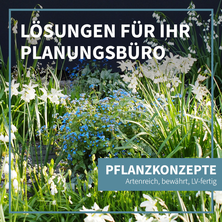 Lösungen für ihr Planungsbüro. Pflanzkonzepte: Artenreich, bewährt, LV-fertig