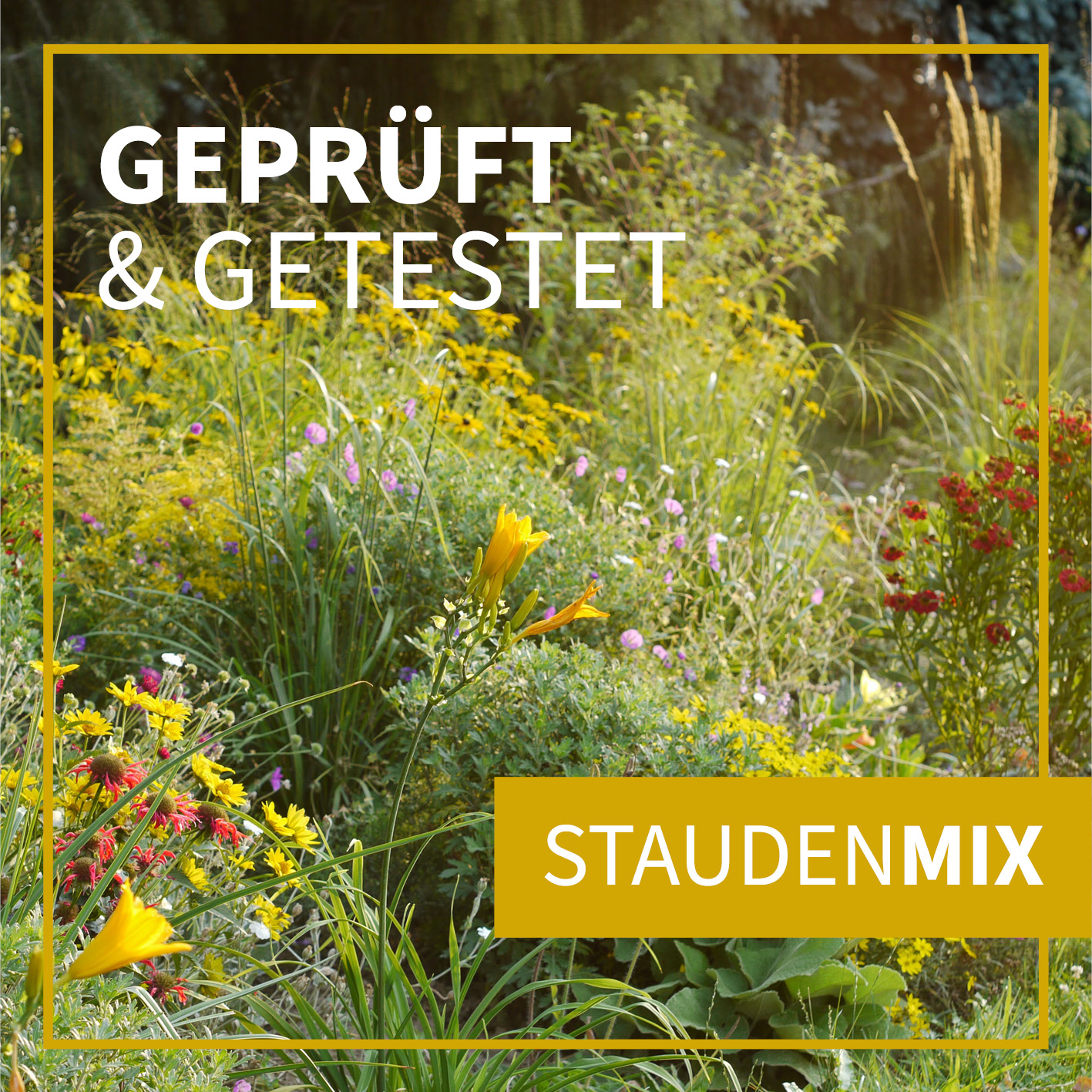 Staudenmix - geprüft & getestet