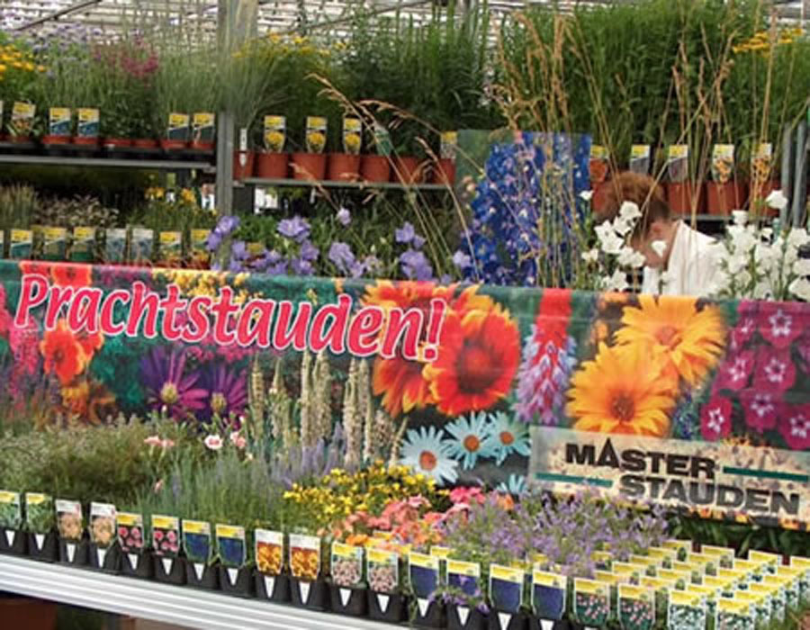 Staudengärtnerei Marktstand